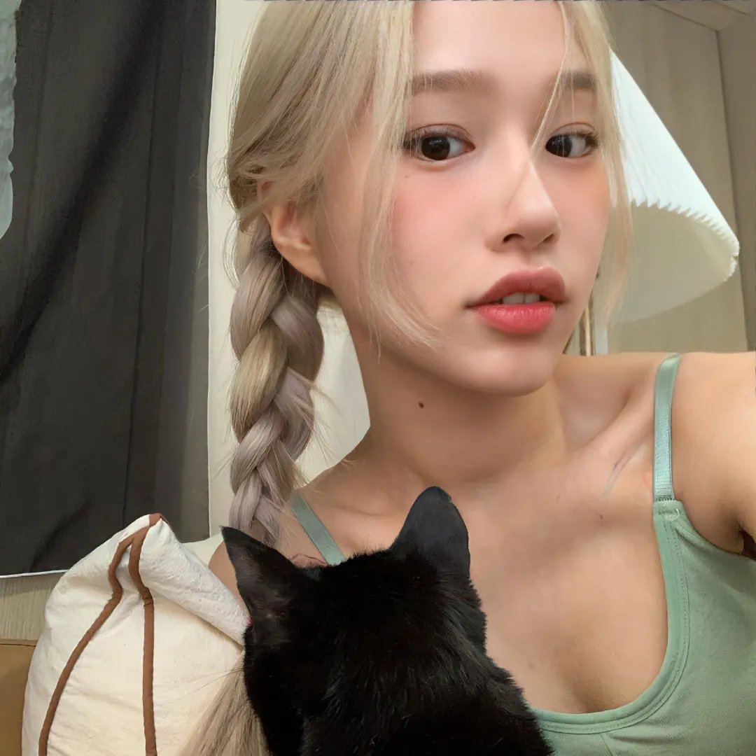 猫行东方